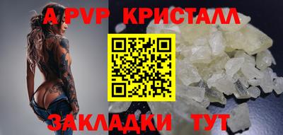 шишки Усть-Илимск