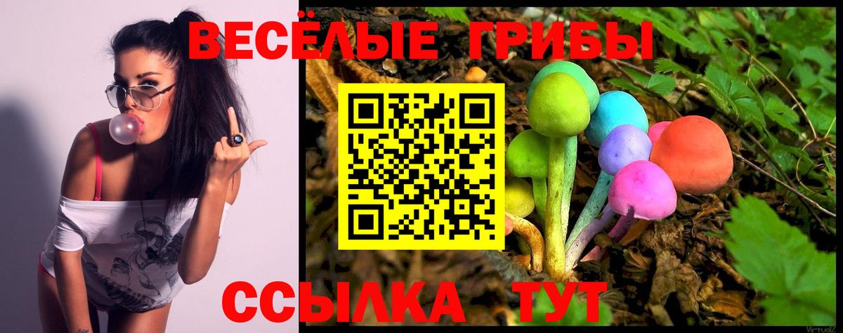 Псилоцибиновые грибы MAGIC MUSHROOMS Нефтекумск